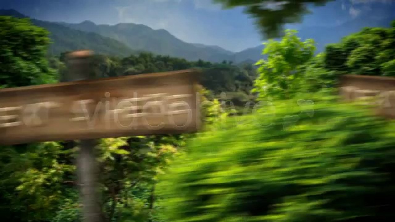 Forest Opener