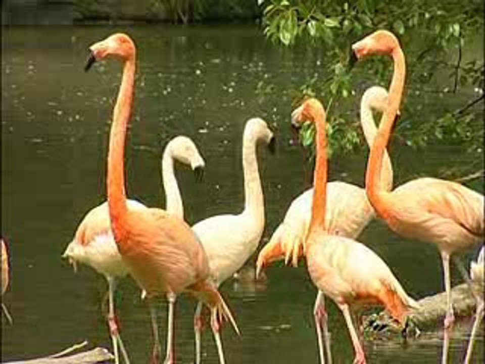 Parc de Clères en Seine-Maritime