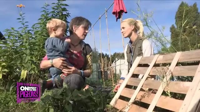 Comment cultiver son propre potager dans un jardin collectif ?