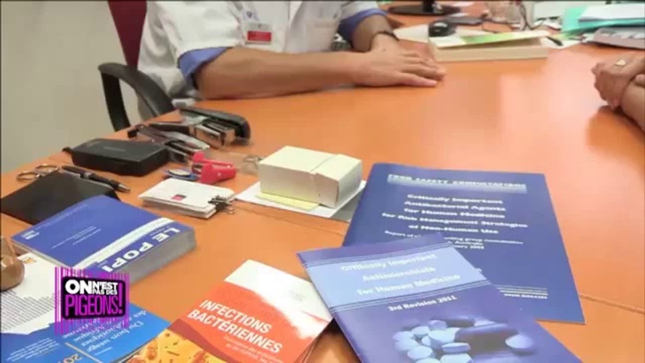 Comment sont élevés les cochons en France ?