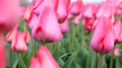 W Project #2 - L'économie Sociale et Solidaire