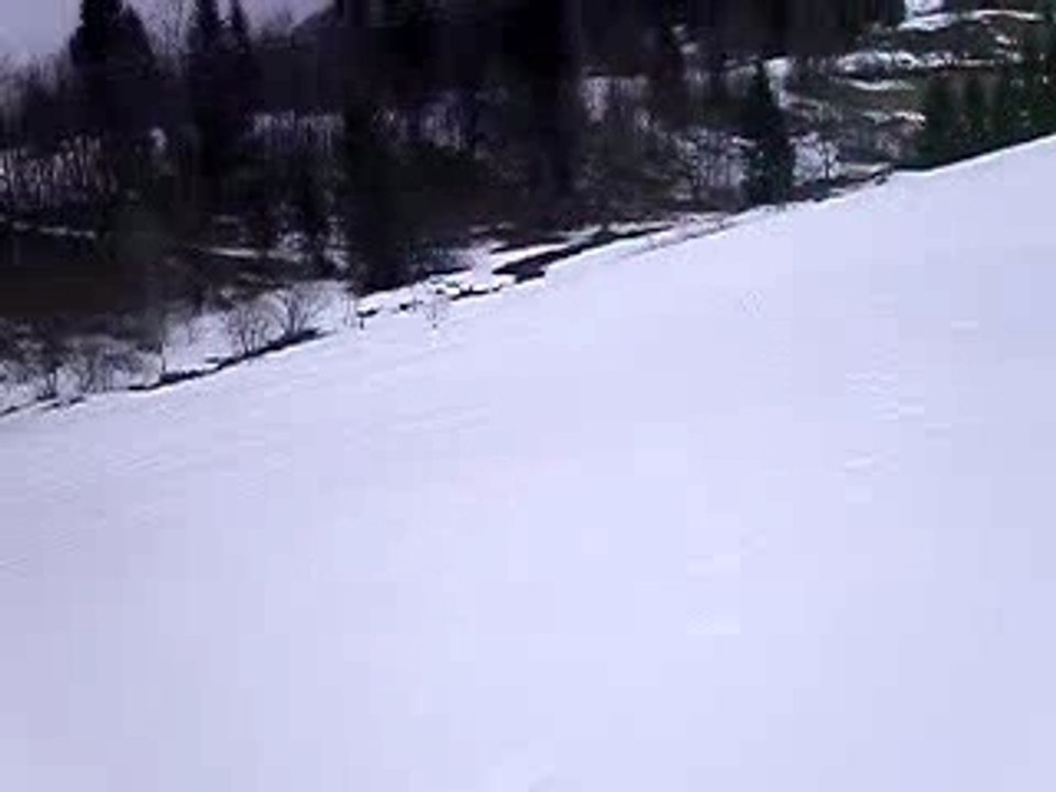 Luge embarquée