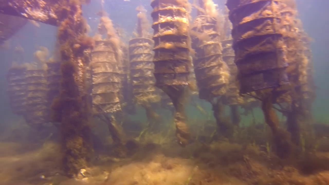 Etang de Thau 02-03-2014