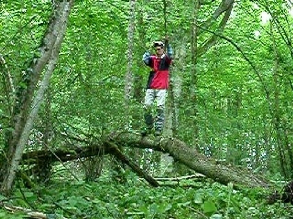 Stéphane fait TARZAN