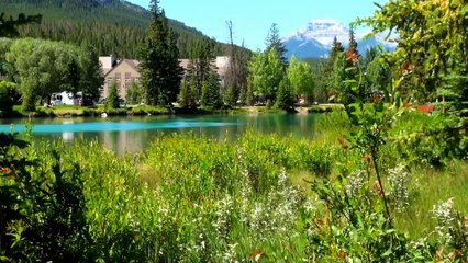 North Banks of Bow River in Banff.
