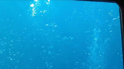 Escursion sur le bateau à fond de verre, le Nautilus en Guadeloupe