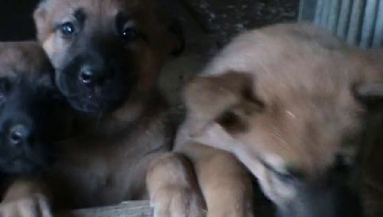 Be Aware G's @ Breaking out!