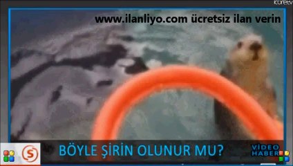 Böyle Şirin Olunur Mu 6