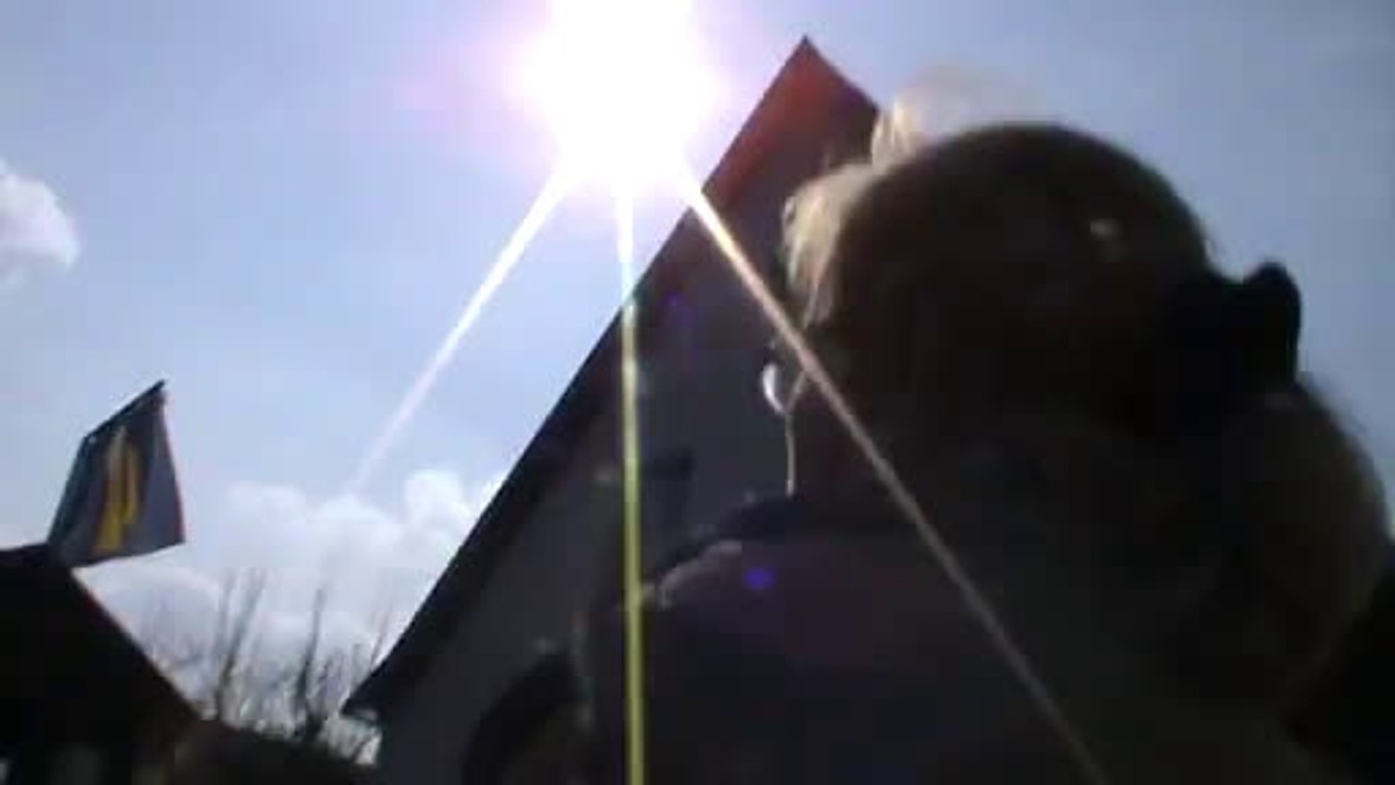 Faschingszug Diebach 2014 Video Hubert und Matthias Dschungelcamp (2)