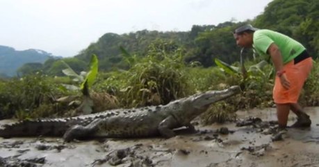 Man feeding a crocodile with his mouth