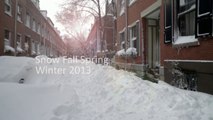 Snow Fall Spring Winter Boston South End