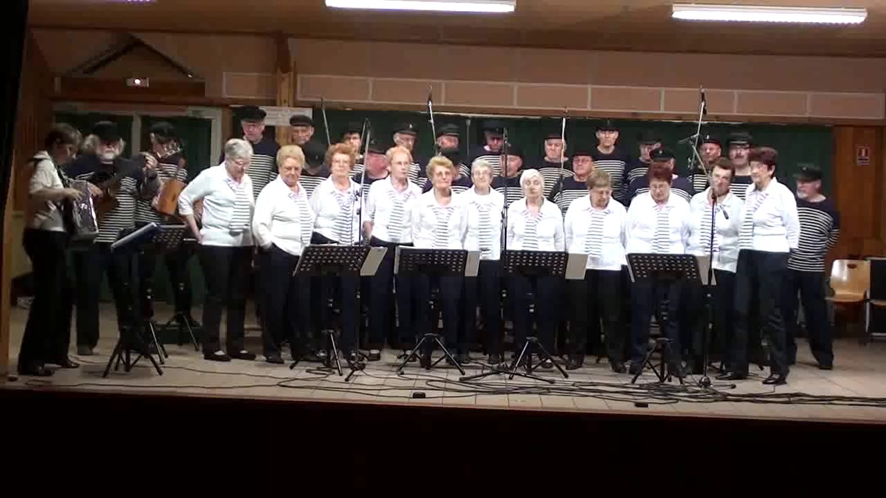 Groupe Les pourquoi Pas - Au café du port (chants de marins)