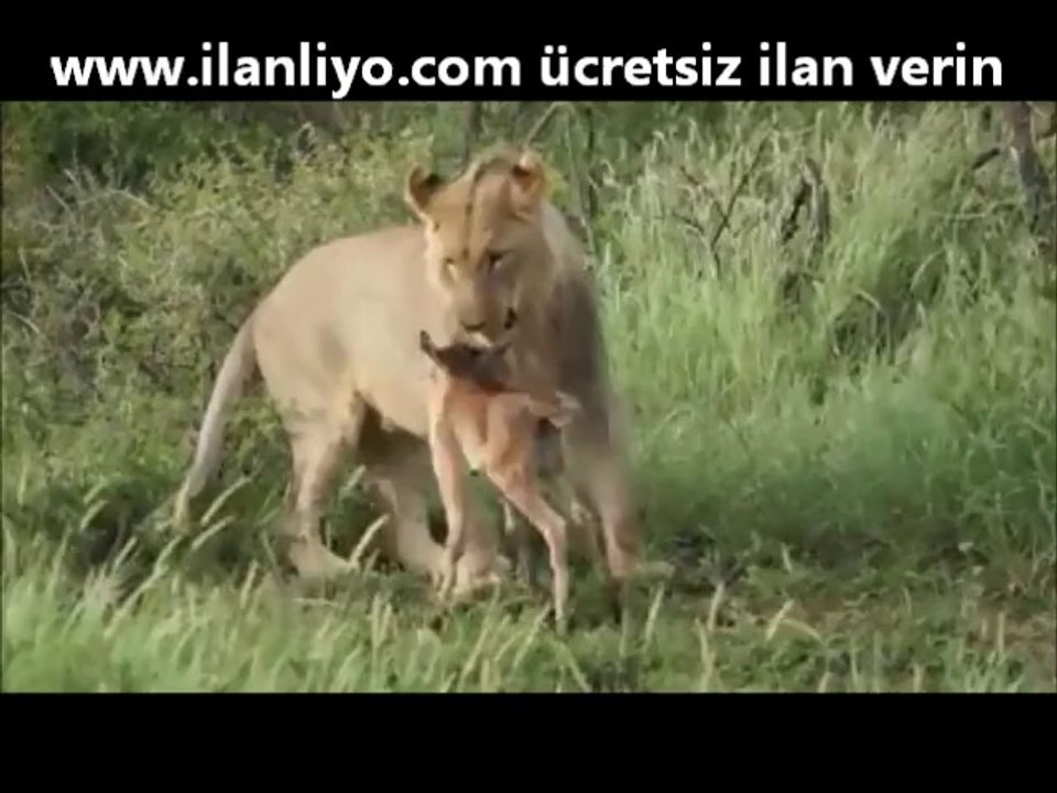 Gözlerinize İnanamayacaksınız! (Kesinlikle İzleyin)