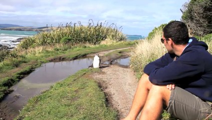 Southern Scenic Highway