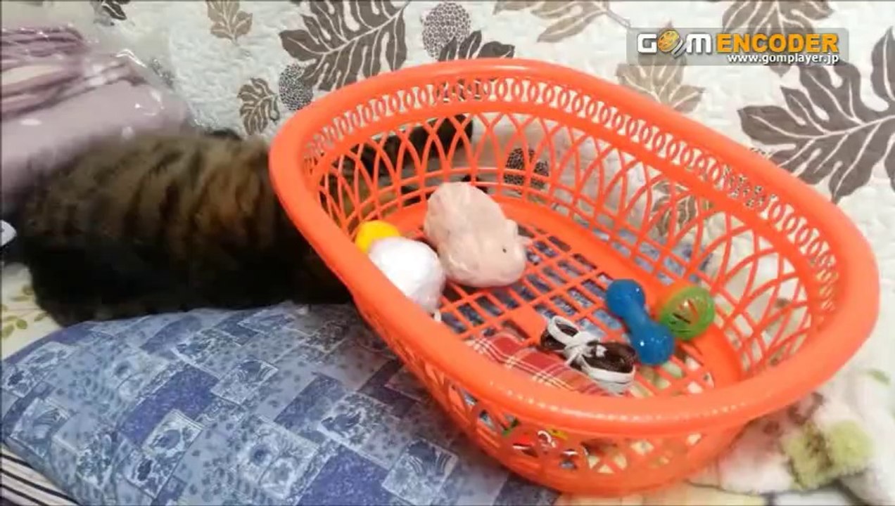 檜垣裕志のサッカーテクニック向上メソッド 内容 実践 検証 動画 特典 購入 レビュー 感想 口コミ 評価 評判 ブログ 体験 ネタバレ