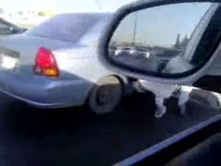 Skate De Rue Saoudien