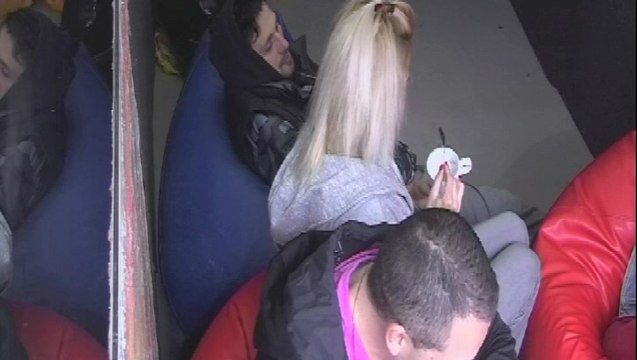 Направи си сам / Къртицата 2