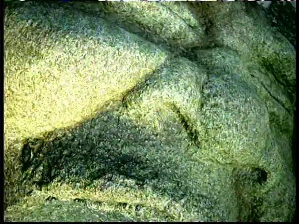 クロニック・ラヴ