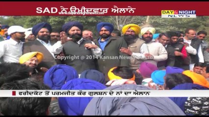SAD announces Deepinder Dhillon from Patiala for LS-Polls