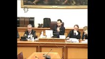 Roma - Audizioni Regione Calabria e Sicilia su mobilità Stretto Messina (05.03.14)