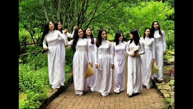 LƯU BÚT NGÀY XANH - Guitar Solo, Arr. Thanh Nhã