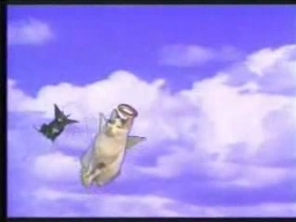 chat qui chante noel