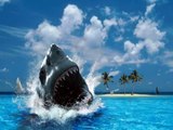 Download Desktop Shark Keygen [no survey, no password]