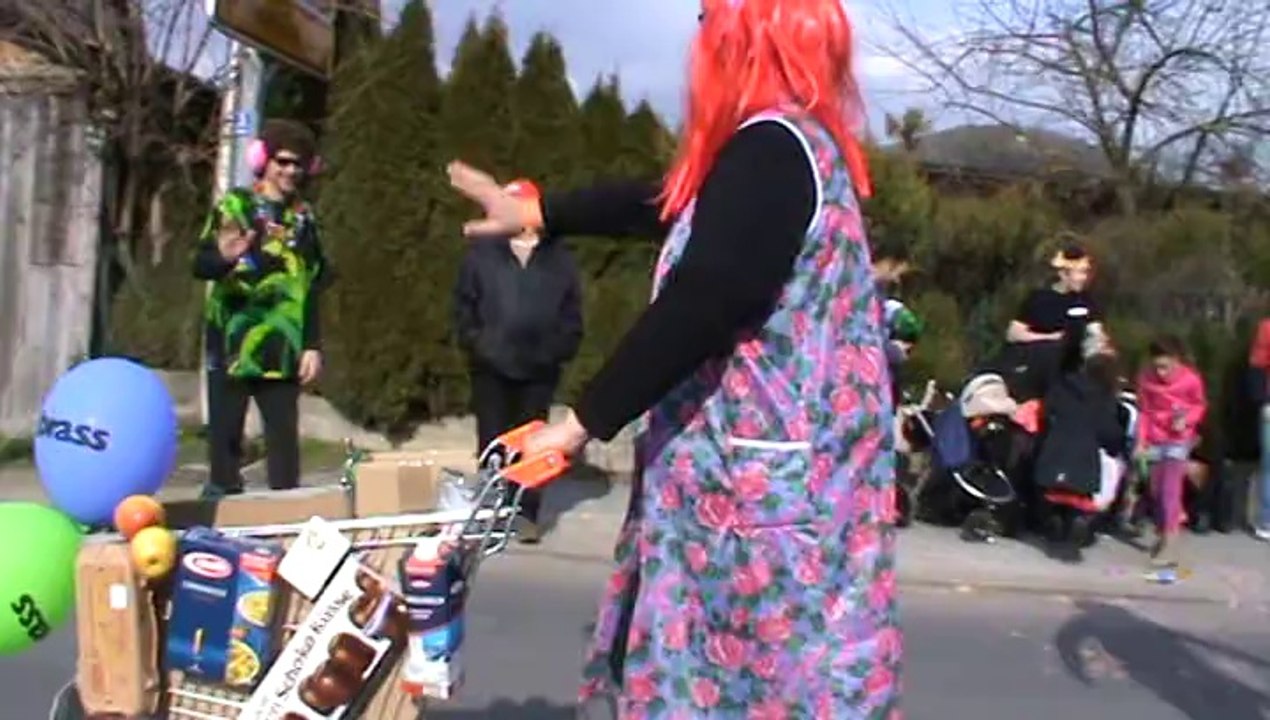 Faschingszug Diebach 2014 Video Hubert und Matthias Dschungelcamp (3)