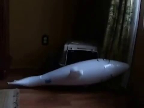 Chien fou vs. Requin gonflable! Trop marrant...