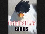 Jacky Jungle - Birds (Original Mix)