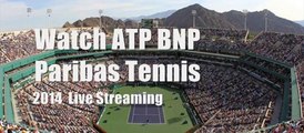 watch BNP Paribas Tennis 2014 tennis mens final live online