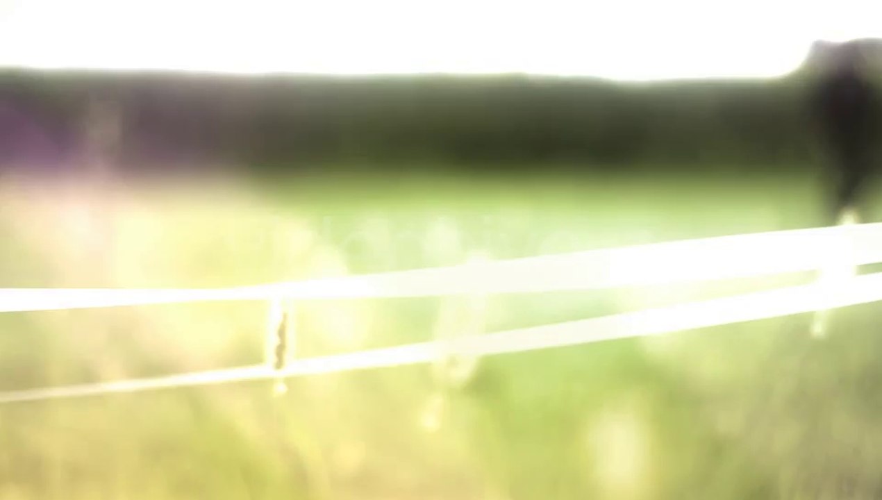 Light Leaks Creative Suite 2 - 100 Comp