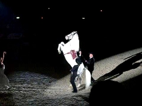 Cheval espagnol cabré