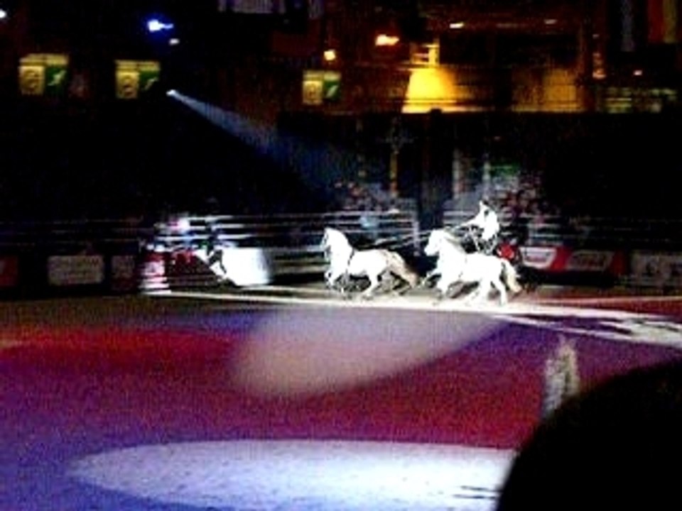 Lorenzo et ses 4 chevaux saut