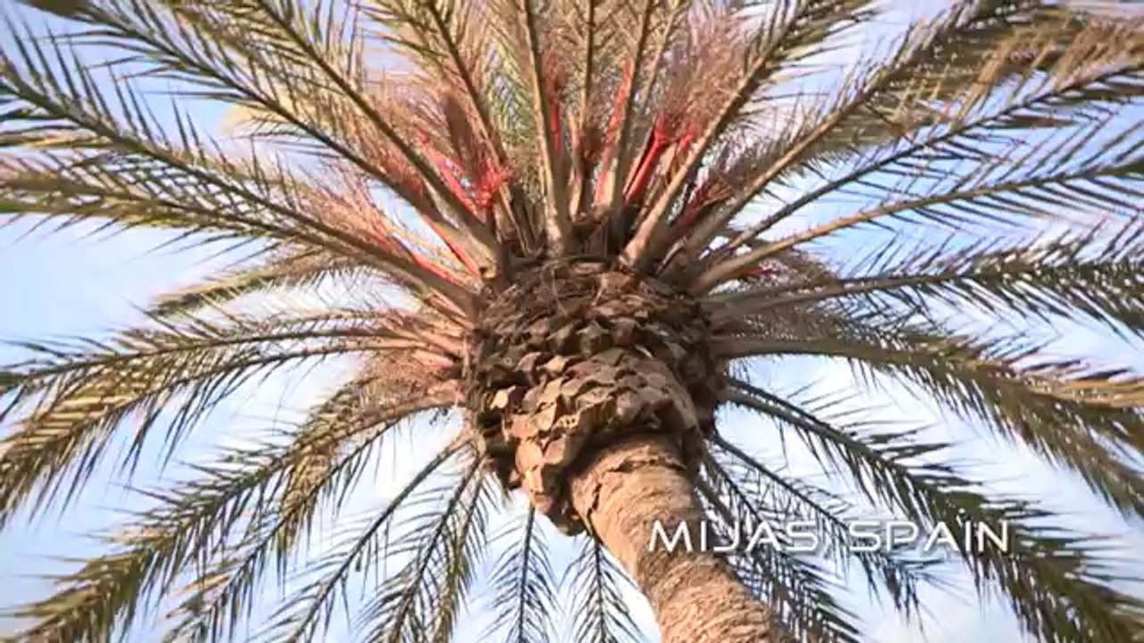 Une femme soulevée par 2 hélicoptères radiocommandés