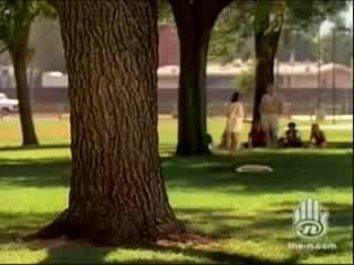 Alex Mack Morphing Sequences pt.2