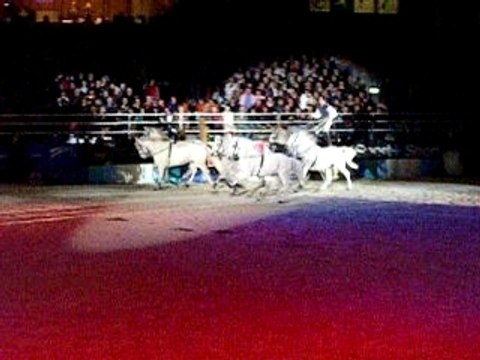 Lorenzo saut avec ses 6 chevaux Oo