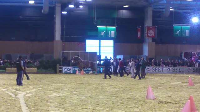 suite de la traction des bretons trophée trait d'avenir