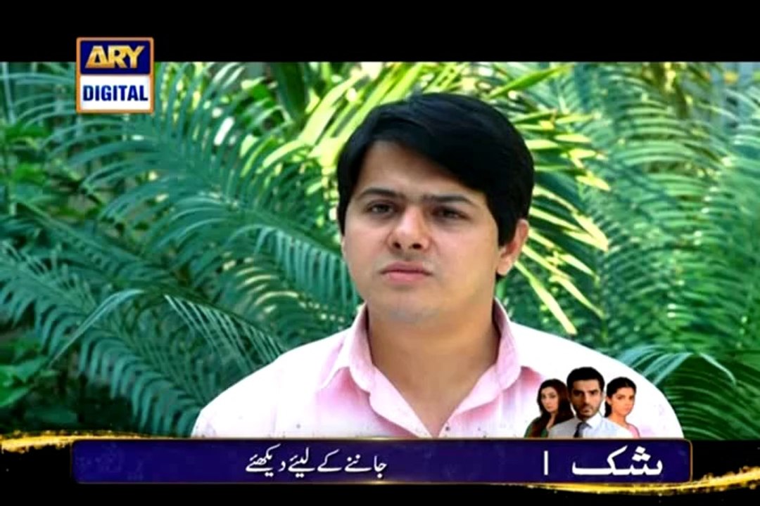 Shehr E Yaran part 2