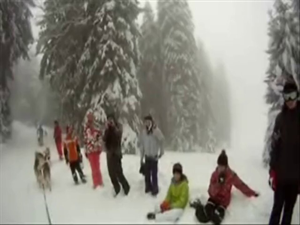 2014-03-04_chiens de traineaux