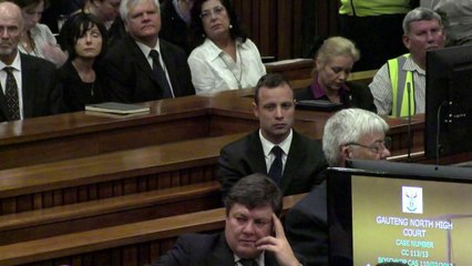 Pistorius witness accused of doctoring testimony