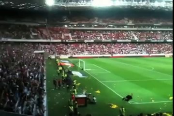 Patrick Bruel hué à l_Allianz Riviera
