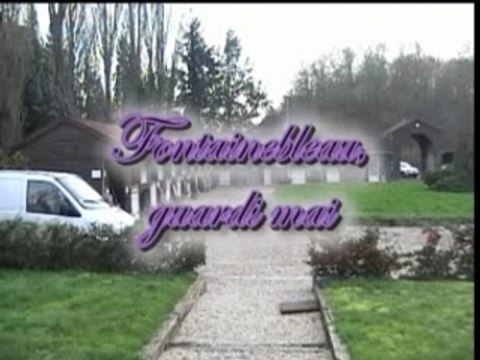 fontainebleau guardi mai