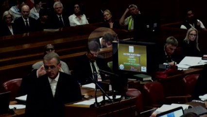 Video herunterladen: Pistorius craque durant son procès pour meurtre