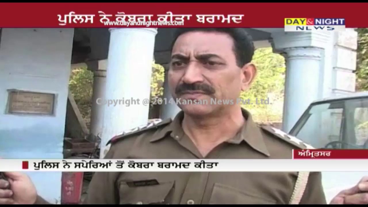 Amritsar Police caught snake charmers with Cobra