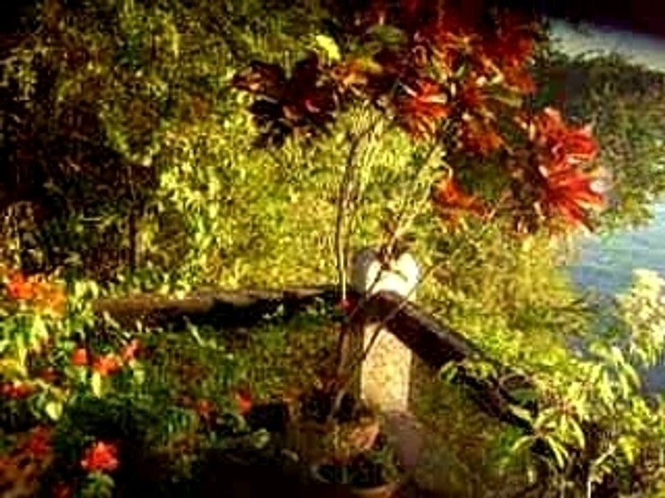 Casa en Tequesquitengo Morelos (exterior