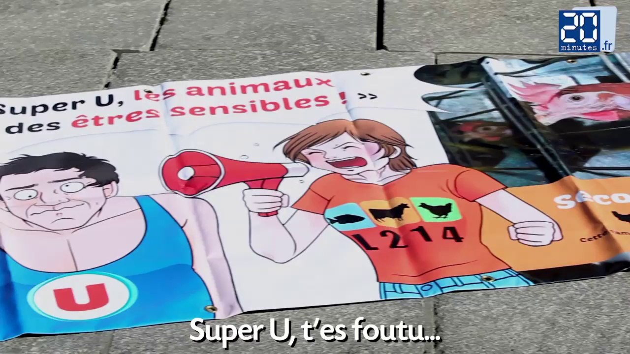 Liberté pour les poules!