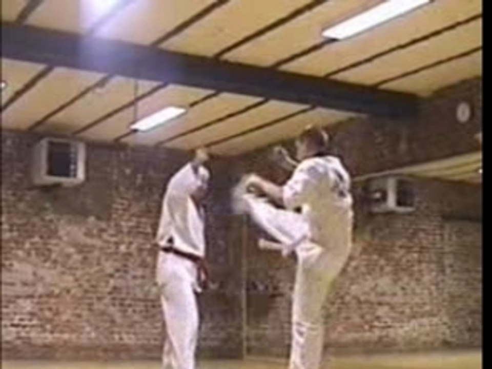 taekwondo elouges dvd twoboys