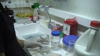 degradacion de alcoholes 2