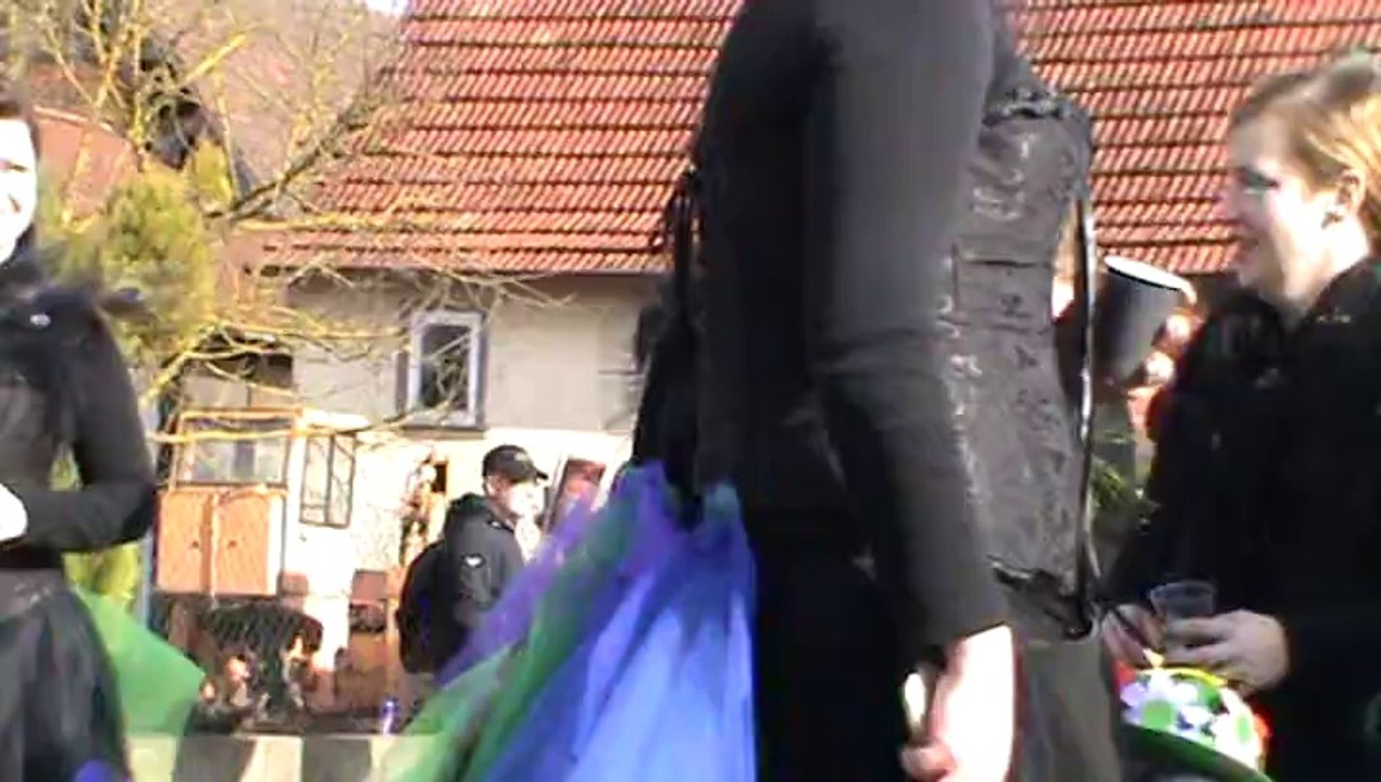 Faschingszug Diebach 2014 Video Hubert und Matthias Dschungelcamp (18)